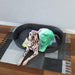 Pet Blankets - Holographic - printonitshop