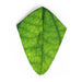 Head Towel - Leaf - printonitshop