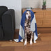 Pet Blankets - Scotland - printonitshop