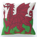 Cushion - Wales - printonitshop