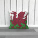 Cushion - Wales - printonitshop