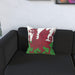 Cushion - Wales - printonitshop