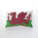 Cushion - Wales - printonitshop