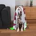 Pet Blankets - Wales - printonitshop